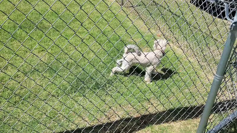 Newman Dog Park - Sweetwater, TX