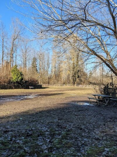 Wapato Park Off-Leash Dog Park - Tacoma, WA