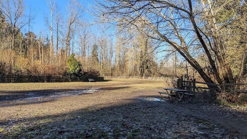 Wapato Park Off-Leash Dog Park - Tacoma, WA