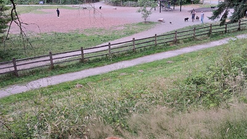 Wapato Park Off-Leash Dog Park - Tacoma, WA