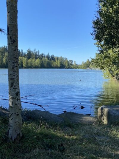 Wapato Park Off-Leash Dog Park - Tacoma, WA