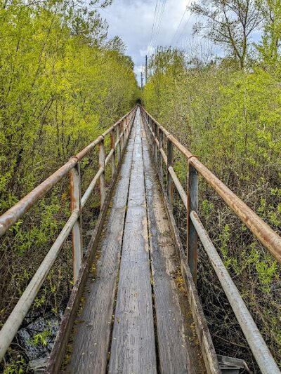 Wapato Park Off-Leash Dog Park - Tacoma, WA