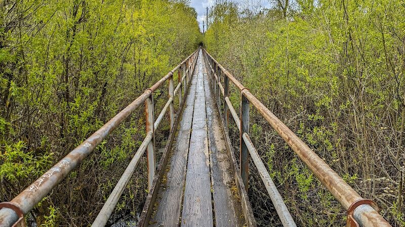 Wapato Park Off-Leash Dog Park - Tacoma, WA