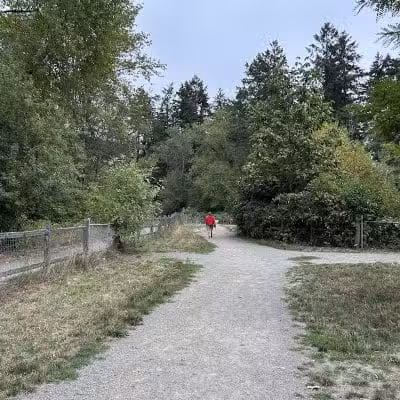 Wapato Park Off-Leash Dog Park - Tacoma, WA