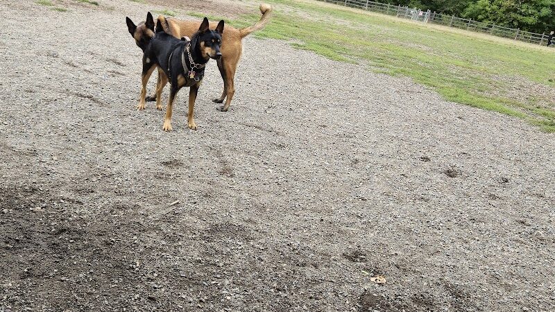 Wapato Park Off-Leash Dog Park - Tacoma, WA