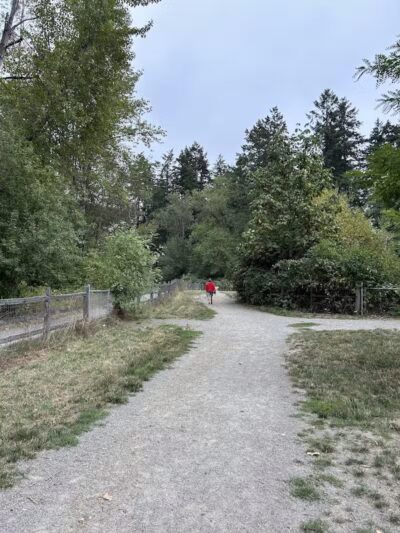 Wapato Park Off-Leash Dog Park - Tacoma, WA