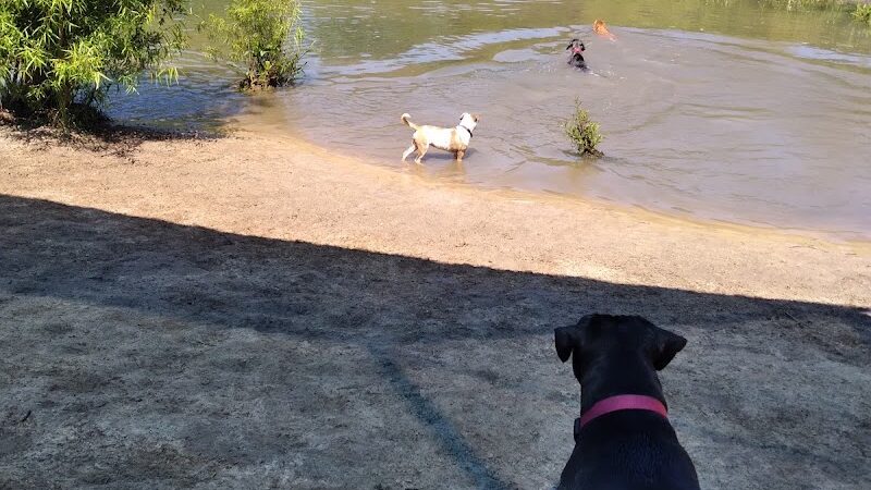Bradfordville Dog Park - Tallahassee, FL