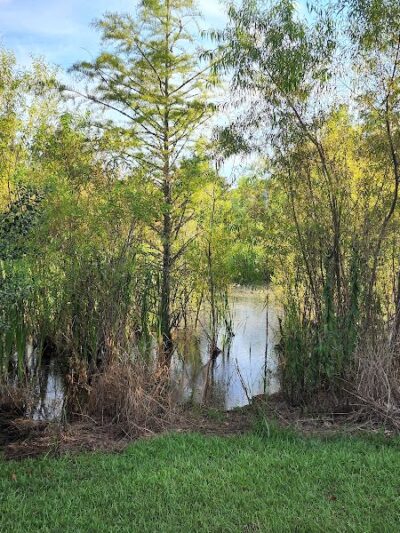 Bradfordville Dog Park - Tallahassee, FL