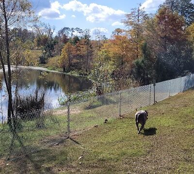 Bradfordville Dog Park - Tallahassee, FL
