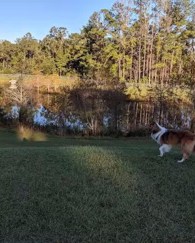 Bradfordville Dog Park - Tallahassee, FL