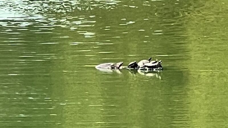 San Luis Mission Park - Tallahassee, FL