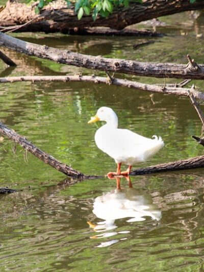 San Luis Mission Park - Tallahassee, FL
