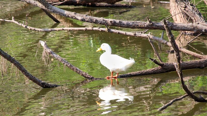 San Luis Mission Park - Tallahassee, FL