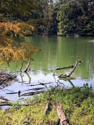 San Luis Mission Park - Tallahassee, FL