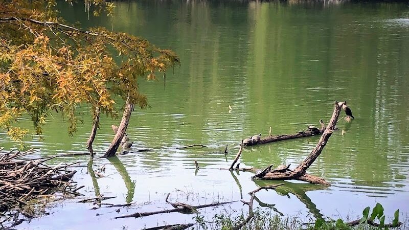 San Luis Mission Park - Tallahassee, FL