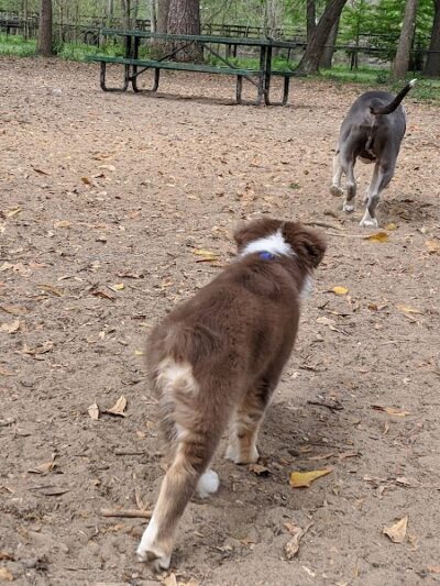San Luis Mission Park - Tallahassee, FL
