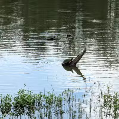 San Luis Mission Park - Tallahassee, FL