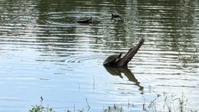 San Luis Mission Park - Tallahassee, FL