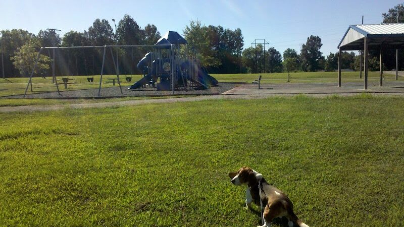 Tamms Community Park - Tamms, IL