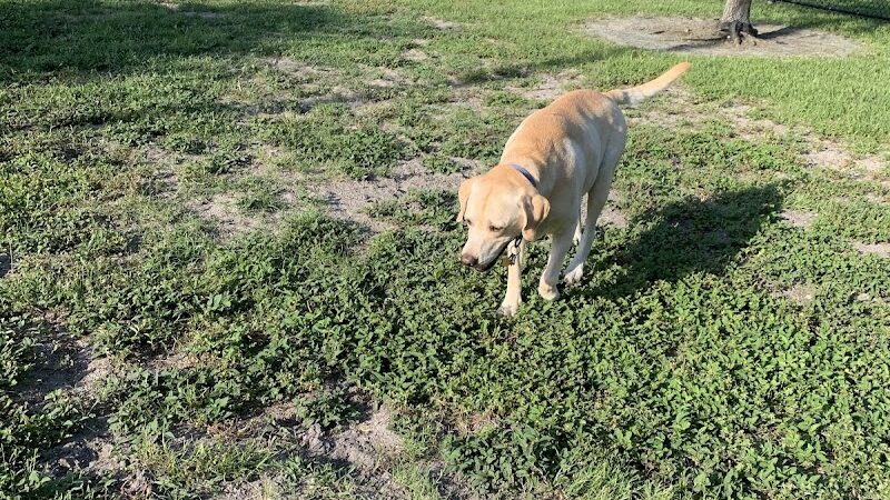 Angus Goss Dog Park - Tampa, FL