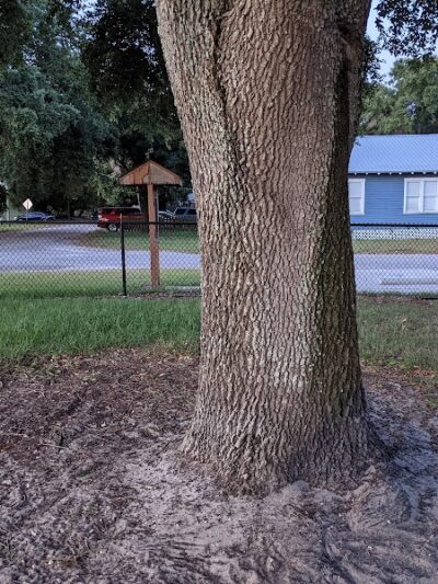 Angus Goss Dog Park - Tampa, FL