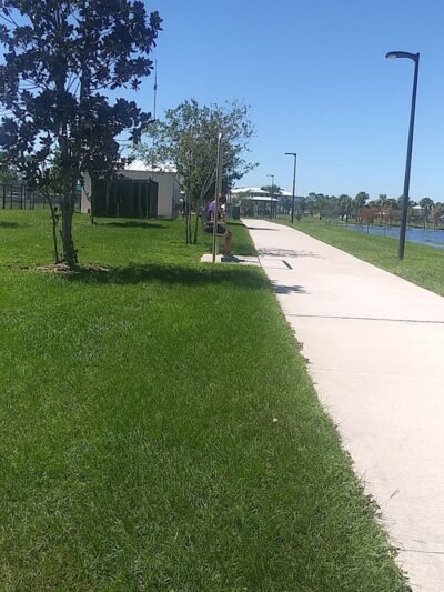 Carrollwood Village Dog Park - Tampa, FL