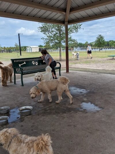Carrollwood Village Dog Park - Tampa, FL