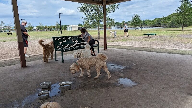 Carrollwood Village Dog Park - Tampa, FL