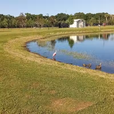 Carrollwood Village Dog Park - Tampa, FL