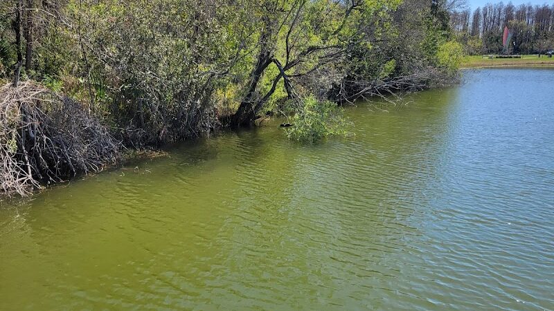 Carrollwood Village Dog Park - Tampa, FL