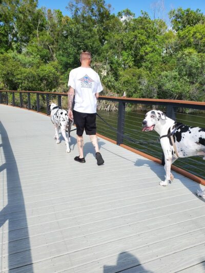 Carrollwood Village Dog Park - Tampa, FL