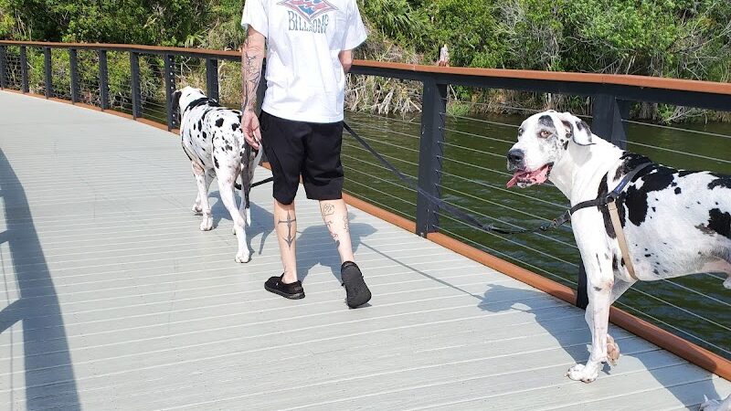 Carrollwood Village Dog Park - Tampa, FL