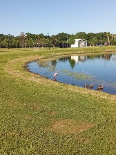Carrollwood Village Dog Park - Tampa, FL