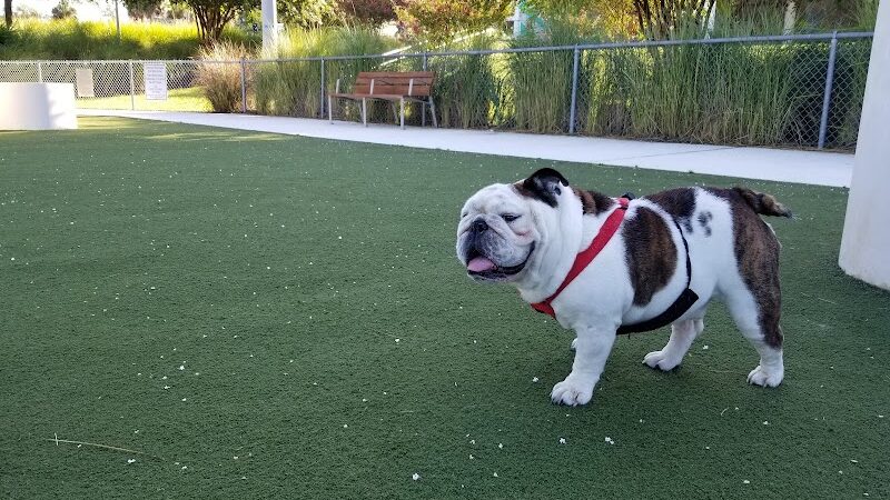Curtis Hixon Waterfront Park Dog Park - Tampa, FL