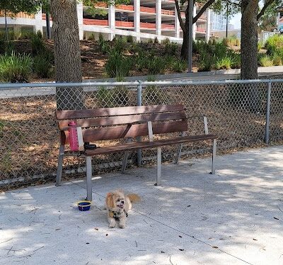 Curtis Hixon Waterfront Park Dog Park - Tampa, FL