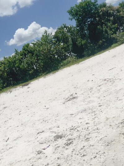 Davis Dog Beach - Tampa, FL