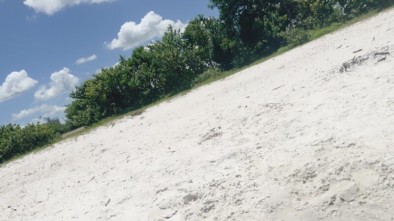 Davis Dog Beach - Tampa, FL