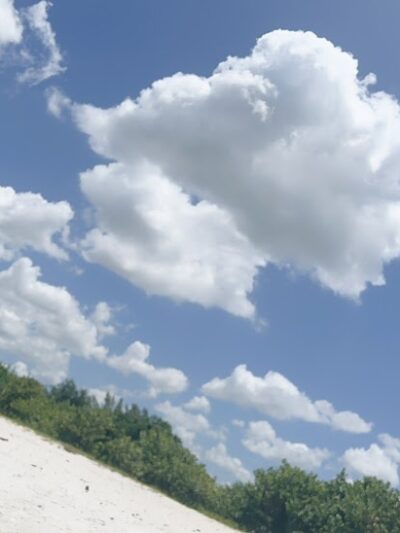 Davis Dog Beach - Tampa, FL