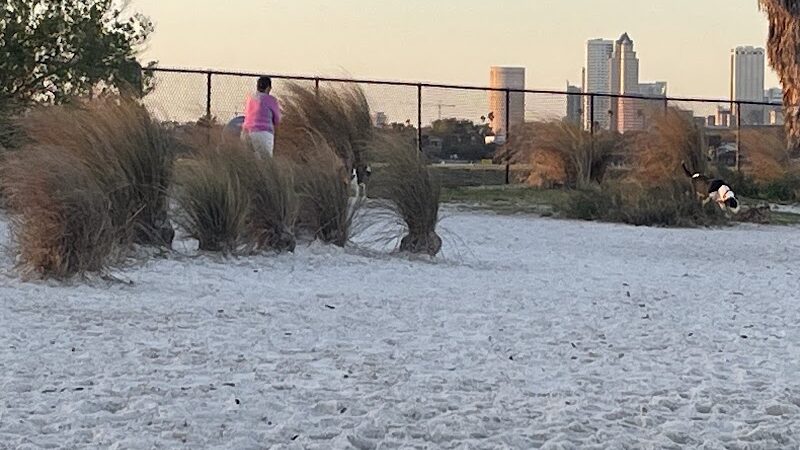 Davis Dog Beach - Tampa, FL