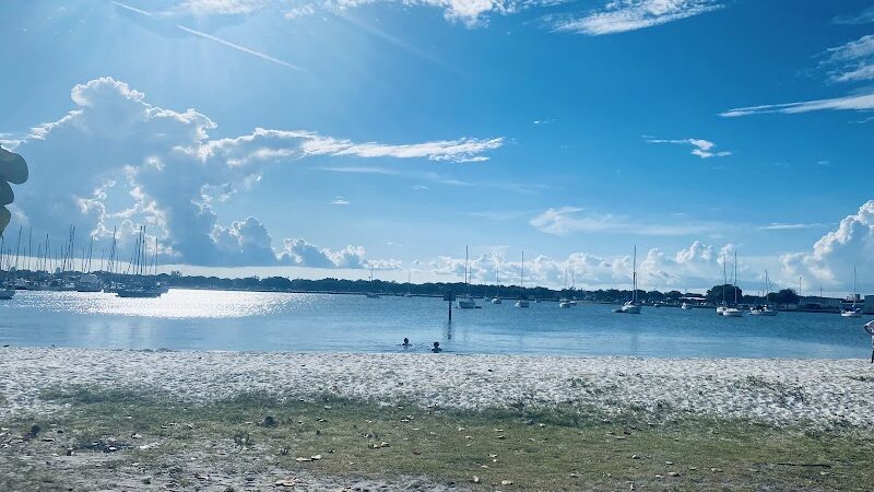 Davis Island Dog Park - Tampa, FL