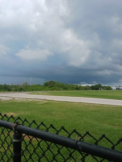 Davis Island Dog Park - Tampa, FL