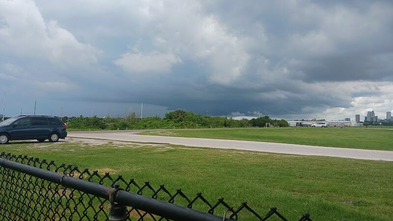 Davis Island Dog Park - Tampa, FL