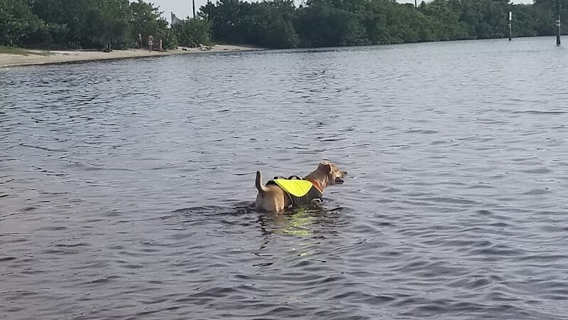 Davis Island Dog Park - Tampa, FL