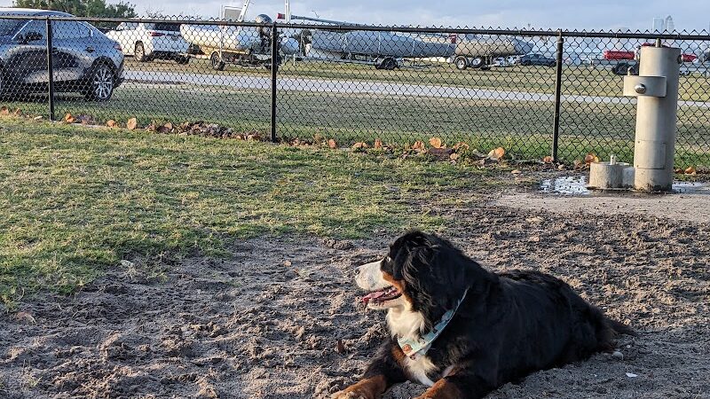Davis Island Dog Park - Tampa, FL