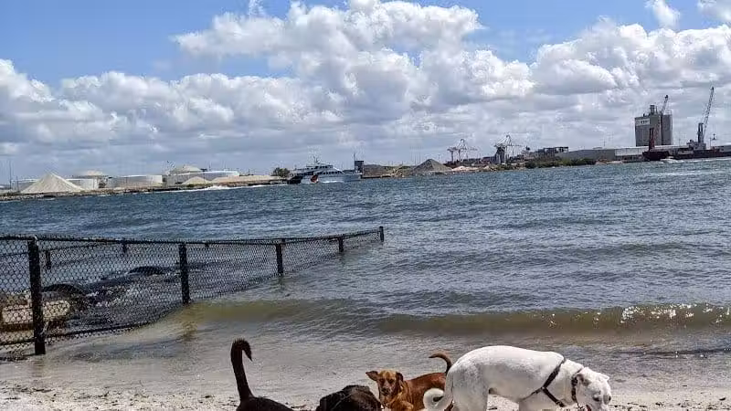 Davis Island Dog Park - Tampa, FL