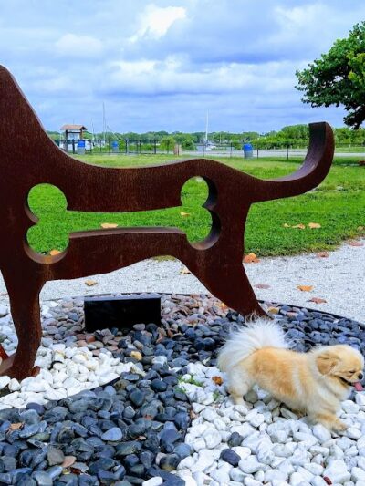 Davis Island Dog Park - Tampa, FL