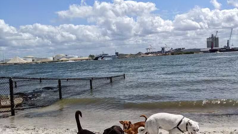 Davis Island Dog Park - Tampa, FL