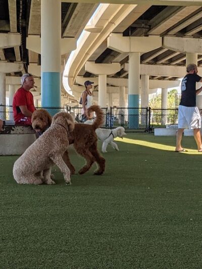 Deputy Kotfila Memorial Dog Park - Tampa, FL