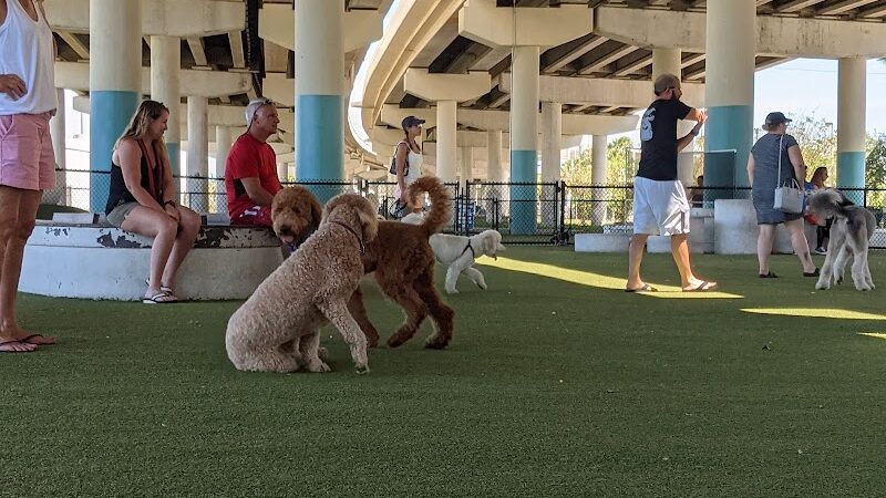 Deputy Kotfila Memorial Dog Park - Tampa, FL