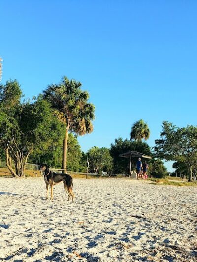 Dog Beach at Picnic Island Park - Tampa, FL